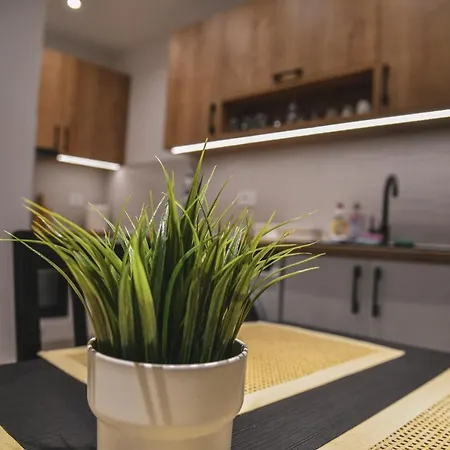 Apartman Centar Lux *